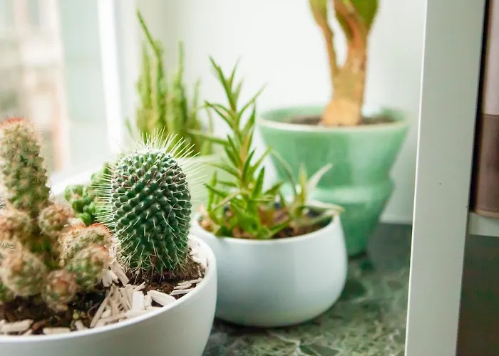 Maison Rebelle * Ostend