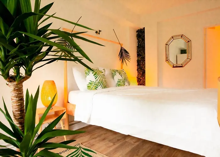 Maison Rebelle * Ostende