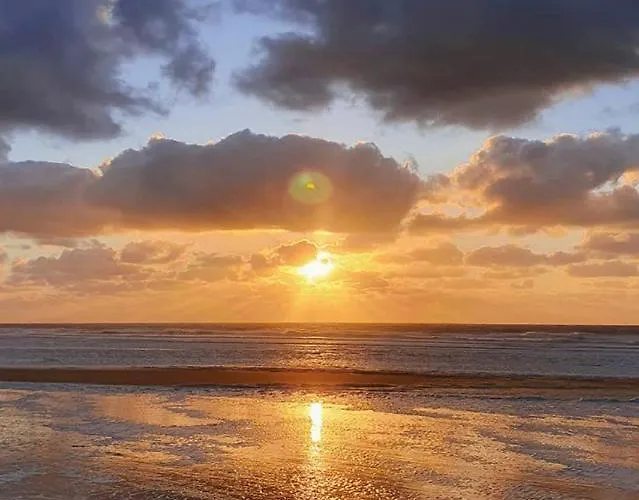 Maison Rebelle Ostende