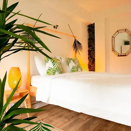 Maison Rebelle * Ostende